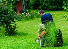 Kwikfynd Lawn Mowing
belmontqld